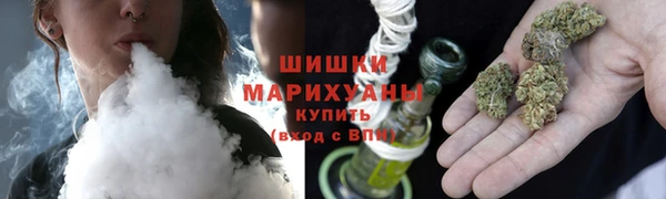 гашик Алзамай