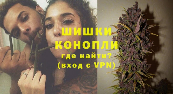 гашик Алзамай