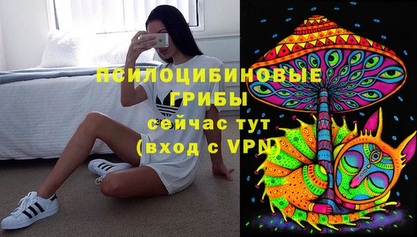 тгк Алексин