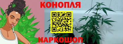 твердый Новодвинск